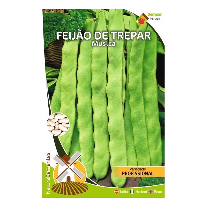 Feijão de Trepar - Música NaturaSementes