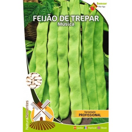 Feijão de Trepar - Música NaturaSementes