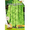 Feijão de Trepar - Música NaturaSementes