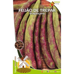 Feijão de Trepar - Bragançano NaturaSementes