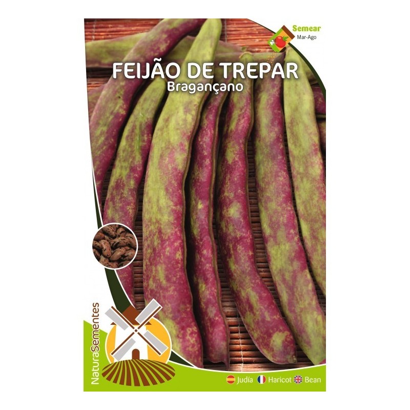 Feijão de Trepar - Bragançano NaturaSementes