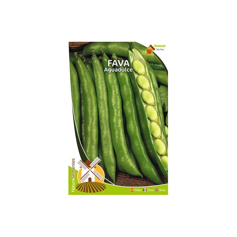 Fava Aguadulce NaturaSementes