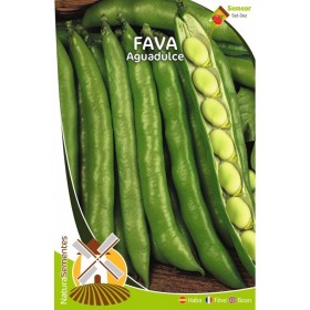 Fava Aguadulce NaturaSementes