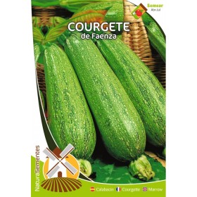Courgete de Faenza NaturaSementes