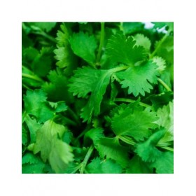 Salsa Gigante de Itália Sementes Vivas 4 gramas