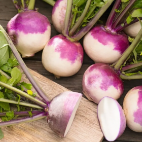NABO DI MILANO A COLLETTO VIOLA SEMENTES VIVAS 4 gramas