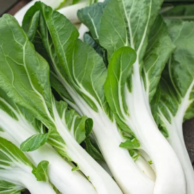 Verdura Asiática "Pak-Choi" Sementes Vivas 1,5 gramas