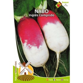 Nabo - Inglês Comprido NaturaSementes