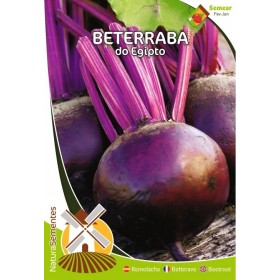 Beterraba - Do Egipto NaturaSementes 10,5 gramas