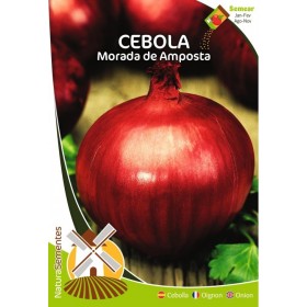 Cebola - Morada de Amposta NaturaSementes