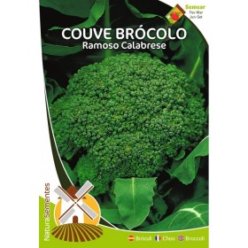 Couve - Ramoso Calabrese NaturaSementes