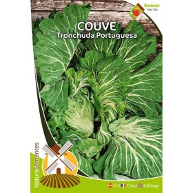 Couve - Tronchuda Portuguesa NaturaSementes