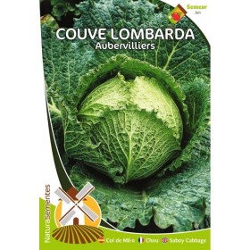 Couve Lombarda - Aubervilliers NaturaSementes