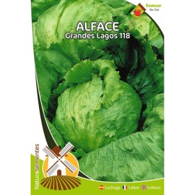 Alface - Grandes Lagos 118 NaturaSementes