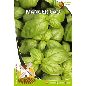 Mangericão NaturaSementes