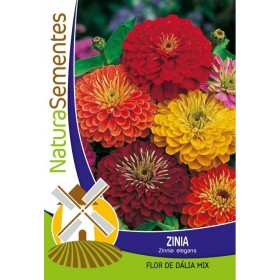 Zinia - Flor de Dália Mix NaturaSementes