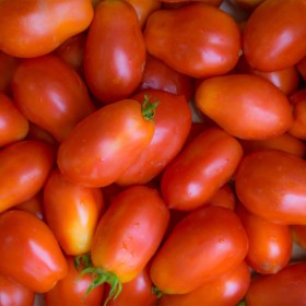 Tomate "Super Roma" Sementes Vivas 50 sementes