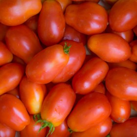 Tomate "Super Roma" Sementes Vivas