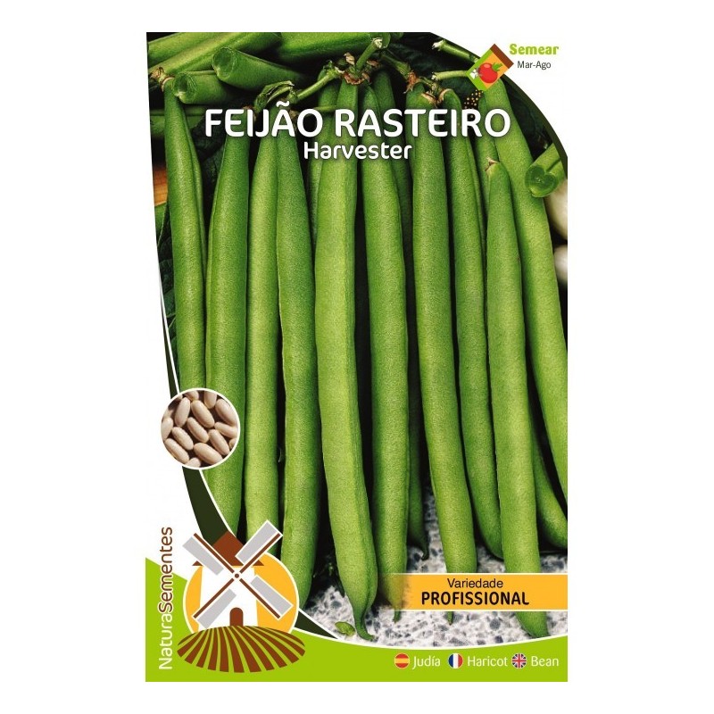 Biscoito de Laranja Bonna 150g