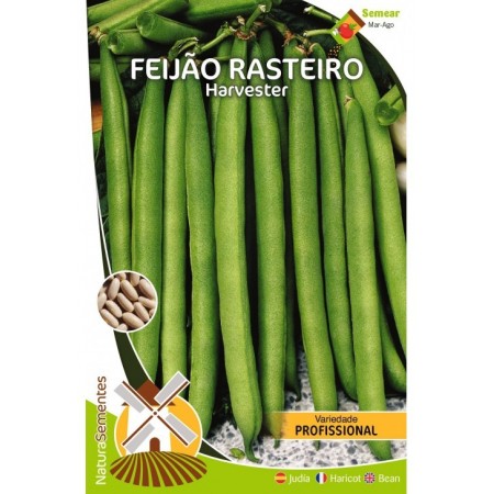 Biscoito de Laranja Bonna 150g