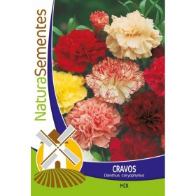 Cravos - Mix NaturaSementes