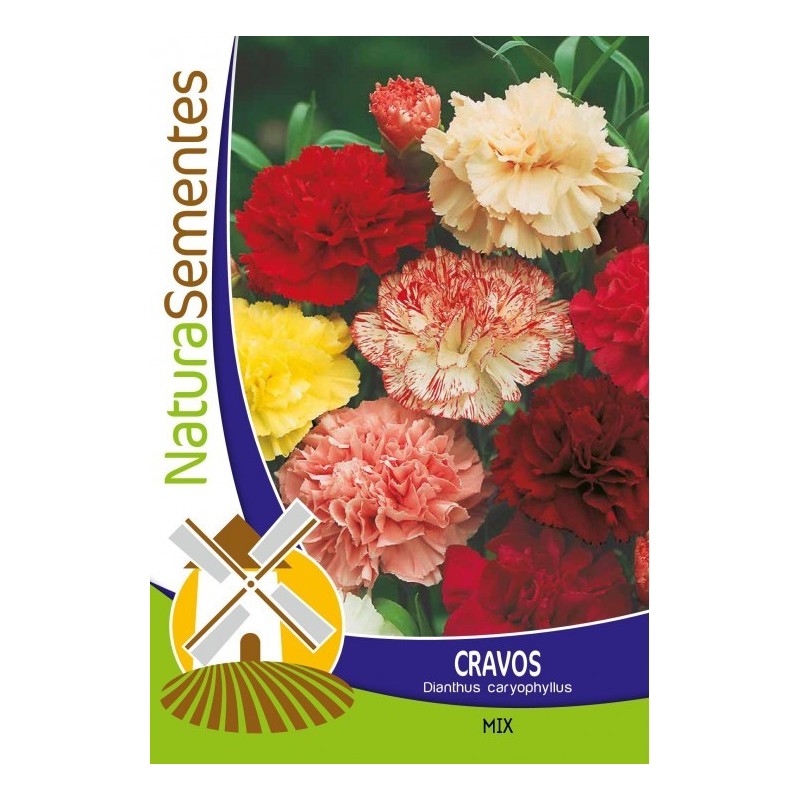 Cravos - Mix NaturaSementes