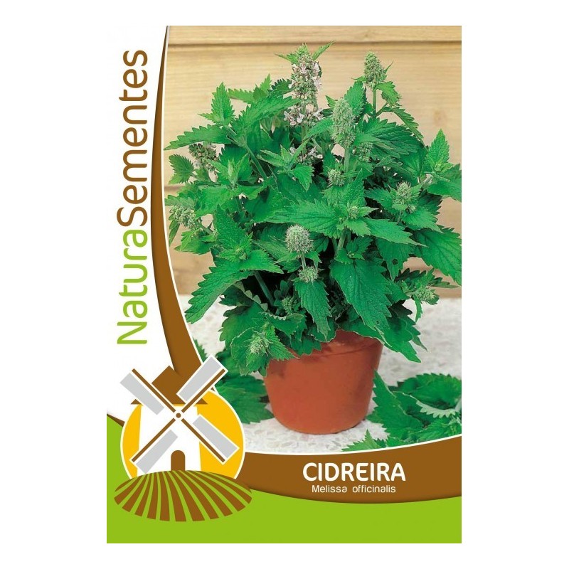 Cidreira NaturaSementes Cidreira NaturaSementes