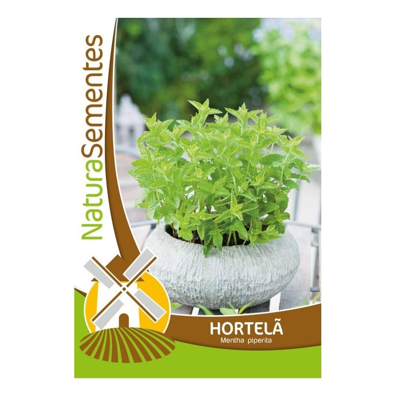 Hortelã NaturaSementes Hortelã NaturaSementes