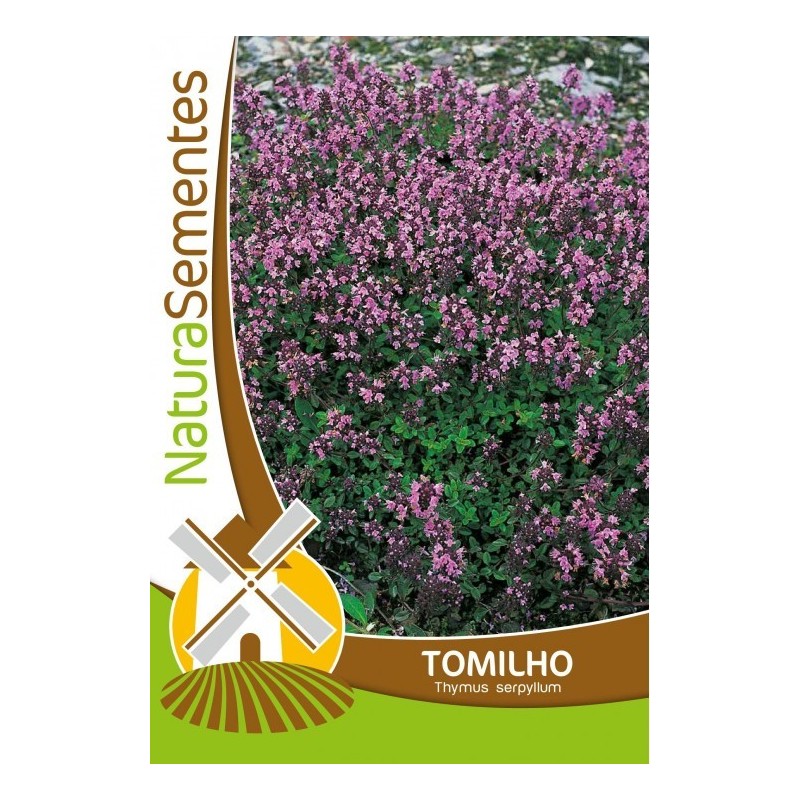 Tomilho NaturaSementes