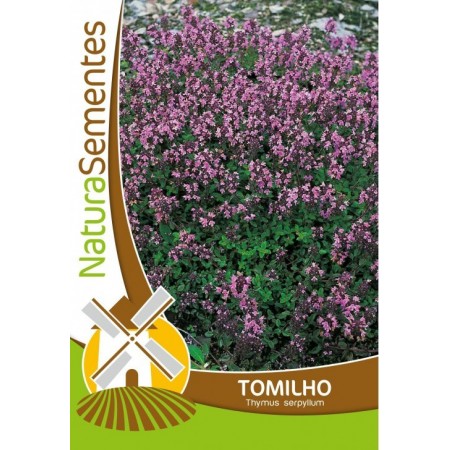 Tomilho NaturaSementes