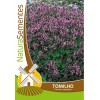 Tomilho NaturaSementes Tomilho NaturaSementes