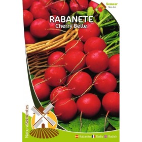 Rabanete - Cherry Belle NaturaSementes