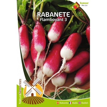 Rabanete - Flamboyant 3 NaturaSementes