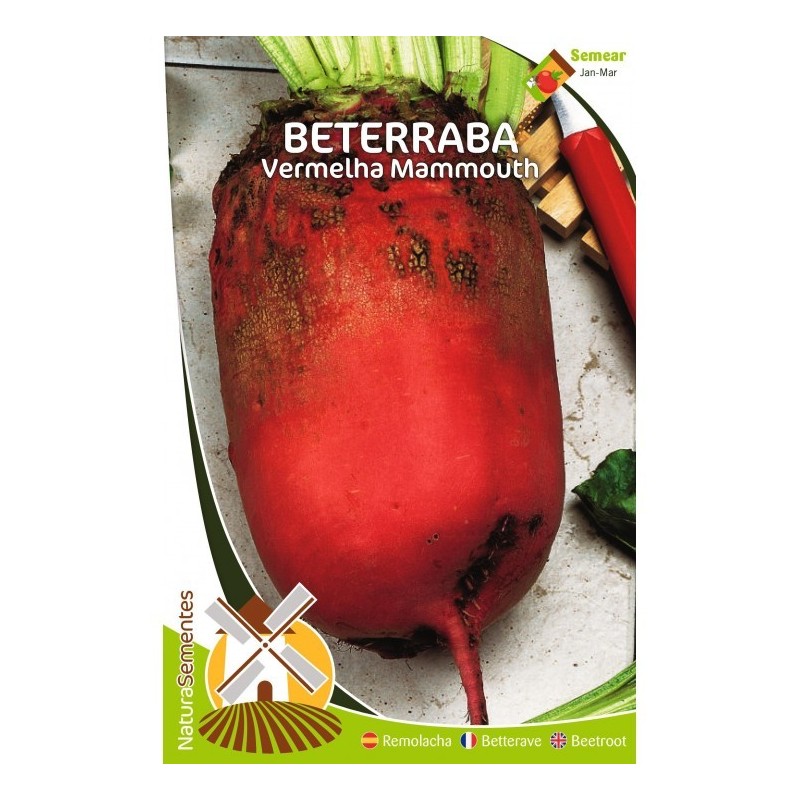 Beterraba - Vermelha Mammouth NaturaSementes Beterraba - Vermelha Mammouth NaturaSementes